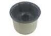 悬架衬套 Suspension Bushing:8J0 407 183